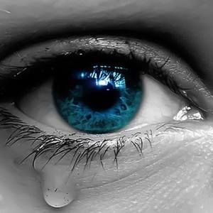 Meet your Posher, Natasha